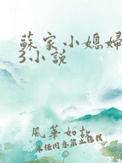 苏家小媳妇1V3小说