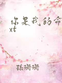 你是我的命运txt