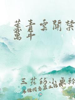 叶青云关禁闭一万年