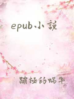 epub小说