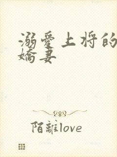 溺爱上将的宝贝娇妻