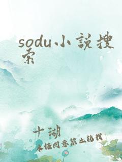 sodu小说搜索