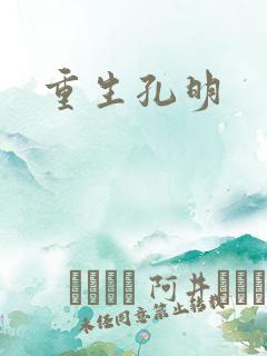 重生孔明