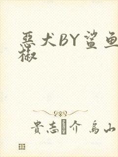 恶犬BY鲨鱼辣椒