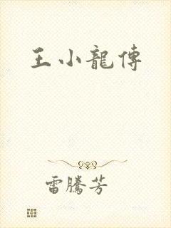 王小龙传