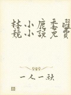 林小鹿季曜珉电竞小说免费阅读