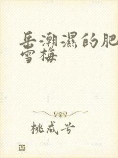 岳潮湿的肥厚李雪梅