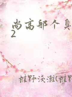 尚高那个臭小子2