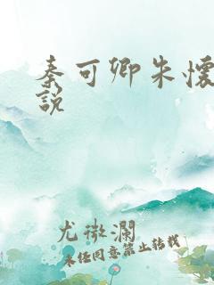 秦可卿朱怀镜小说