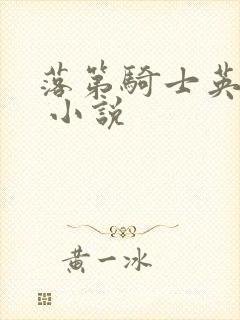 落第骑士英雄谭 小说