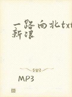 一路向北txt新浪