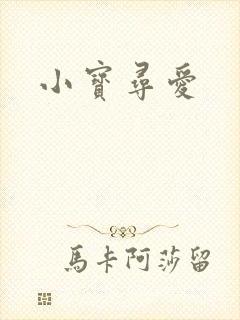 小宝寻爱