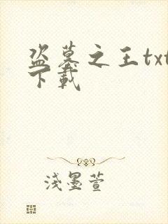 盗墓之王txt下载