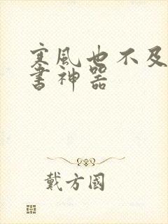 寒风也不及她追书神器