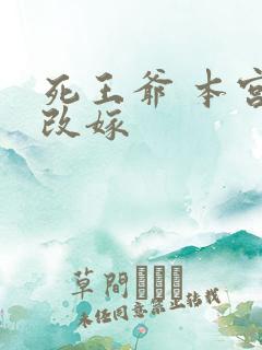 死王爷 本宫已改嫁