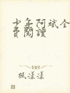 少年阿斌全文免费阅读