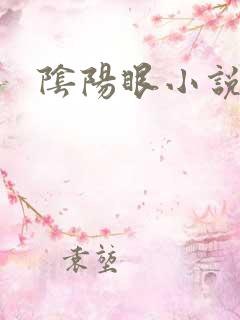 阴阳眼小说