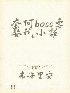 奈何boss要娶我小说