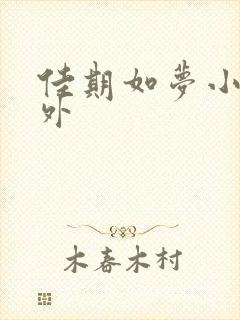 佳期如梦小说番外