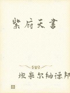 紫府天书