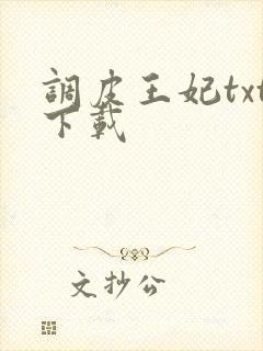 调皮王妃txt下载