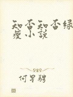 知否知否绿肥红瘦小说