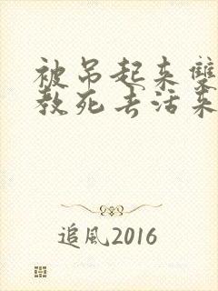 被吊起来双龙调教死去活来