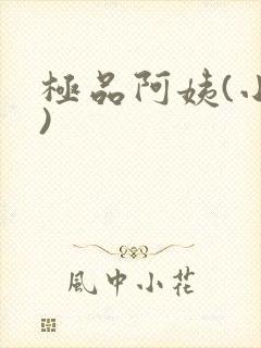 极品阿姨(小说)