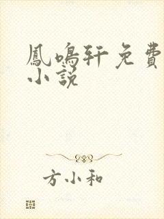 凤鸣轩免费言情小说
