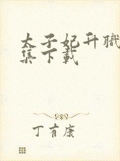 太子妃升职记全集下载