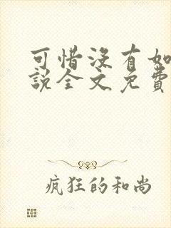 可惜没有如果小说全文免费阅读