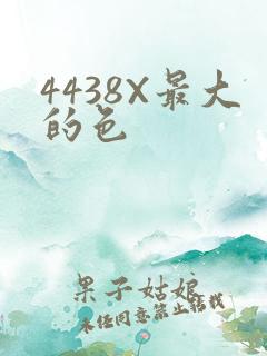 4438X最大的色