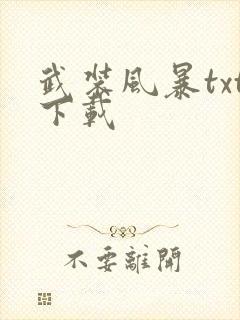 武装风暴txt下载