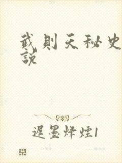 武则天秘史 小说