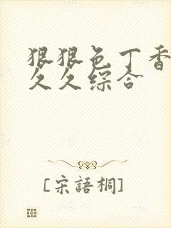 狠狠色丁香婷婷久久综合