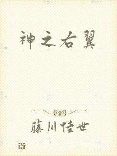 神之右翼