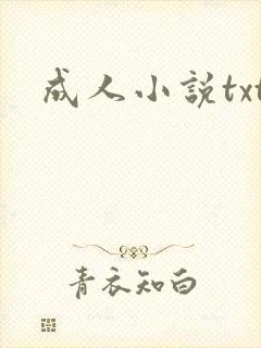 成人小说txt