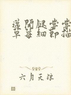 迈开腿尝尝你的草莓细节描写