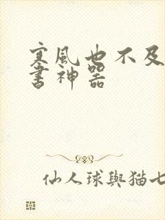 寒风也不及她追书神器