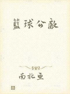 篮球公敌