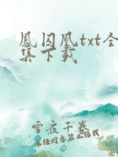 凤囚凰txt全集下载