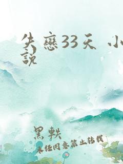 失恋33天 小说