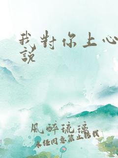 我对你上心了小说