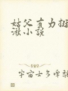 姑父有力挺送徐湫小说