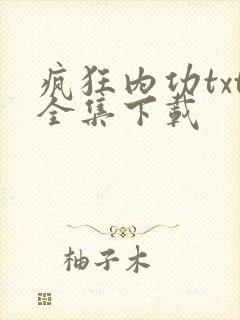 疯狂内功txt全集下载