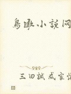 鸟瞰小说网