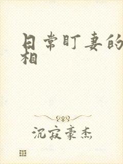 日常盯妻的小丞相