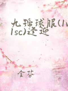 九号球服(1v1sc)逢迎