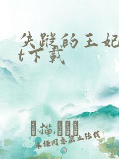 失踪的王妃txt下载