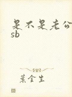 是不是老公的小sb